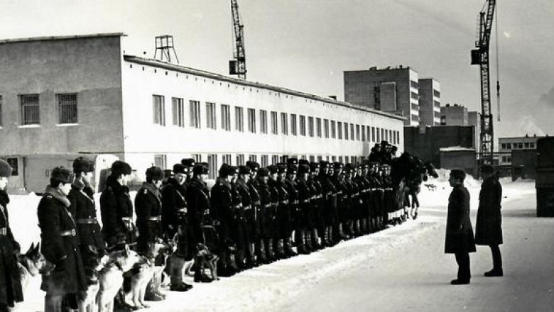 Василий Кулик: серийный убийца в белом халате