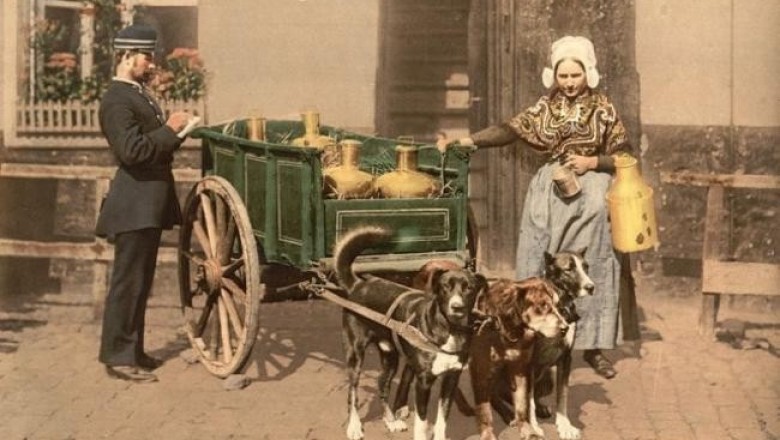 Большая коллекция фотохромных открыток Европы, Ближнего Востока и Северной Америки на рубеже XIX–ХХ вв