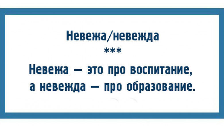 Одеть или надеть, невежа или невежда: слова, которые неграмотные люди часто путают