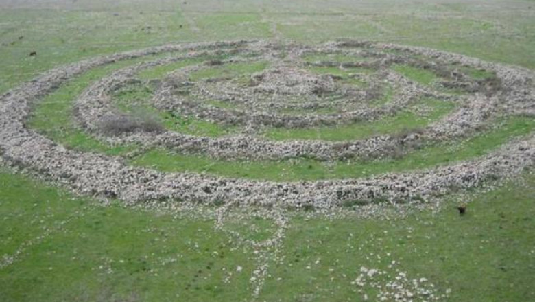 Колесо Духов Руджм эль-Хири: загадка каменного мегалита на берегу Галилейского моря, над которой археологи вот уже много лет бьются