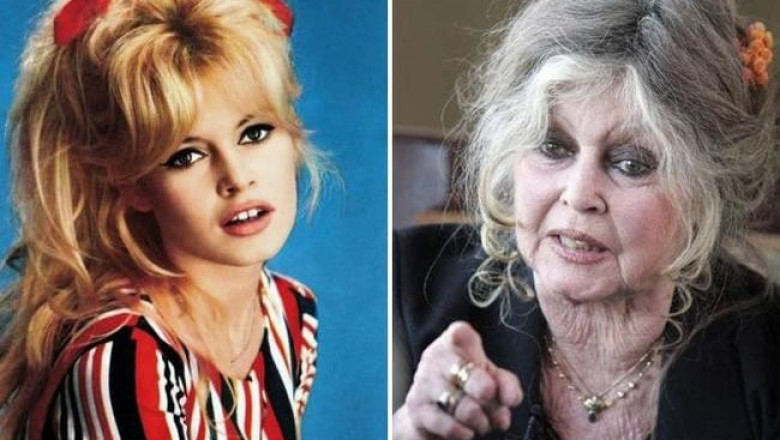 Брижит Бардо – 85 лет: две жизни одной из самых красивых женщин ХХ века