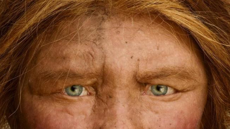 Денисовцы, возможно, оказались последними людьми на Земле, кроме Homo sapiens