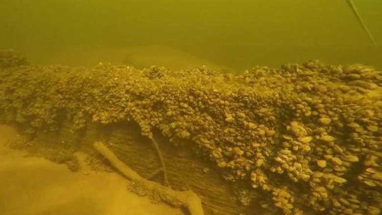 Под Самарой на дне Волги нашли гигантскую ладью, возрастом старше самого города
