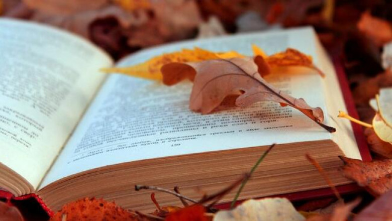 Собиратель костей и еще 4 атмосферные книги для длинных осенних вечеров