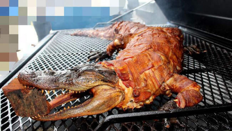 Мясо beef jerky с запашком и рагу из гремучих змей: 10 исконно американских блюд, которые будут поудивительней нашего холодца