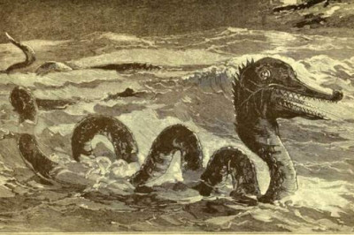 Глиптодон, тилацин и еще 5 причудливых и фантастических существ из «Библиотеки наследия биоразнообразия»