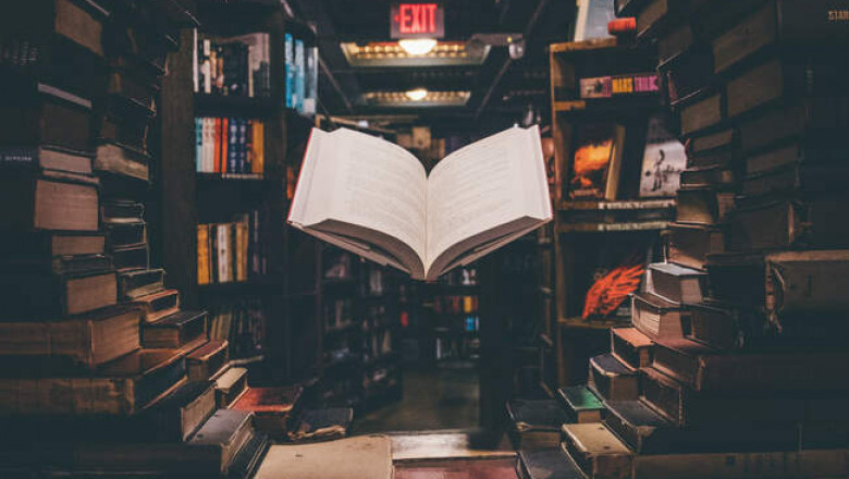 «Дилер реальности», «Женщина в окне» и другие книги для тех, кто соскучился по качественным психологическим триллерам
