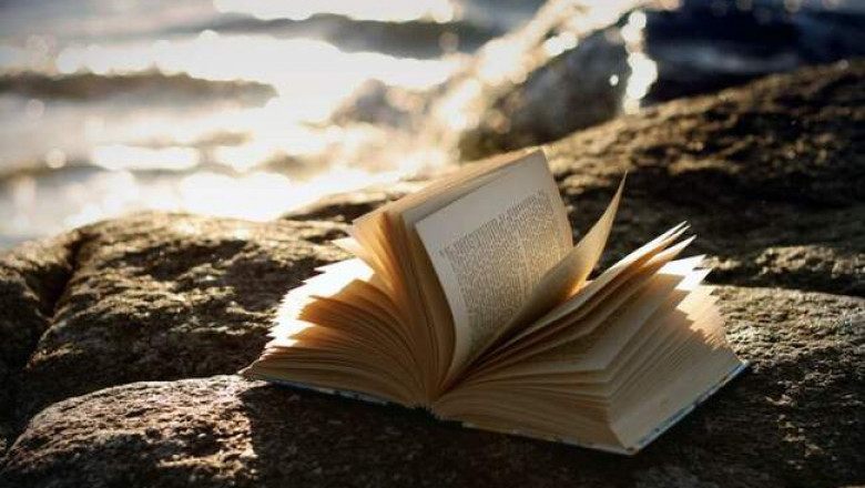 «Гниль и руины», Блэкаут» и еще 8 современных увлекательных книг о конце человечества