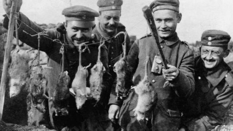 Первая мировая, немцы и голод: помог ли Германии украинский хлеб?