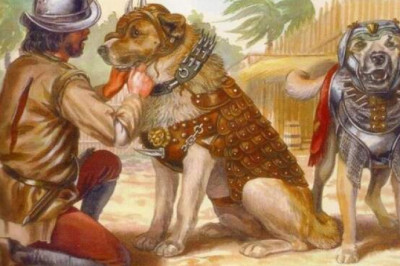 Боевые псы конкистадоров: из-за чего коренные жители Америки до паники боялись четвероногих солдат испанских завоевателей