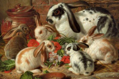 Почему на Руси употребление крольчатины считалось большим грехом