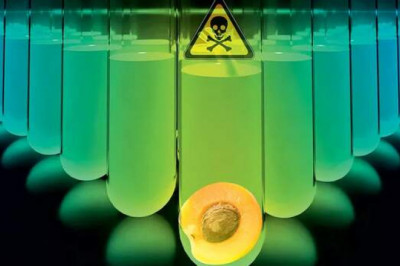 С запахом горького миндаля: что такое цианистый калий