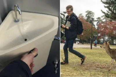 Ручные олени, сантехника для экономии и еще 10 необычных явлений в Японии, которые не мешало бы перенять и нам