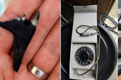 12 диковинных вещиц, о предназначении которых приходится узнавать в интернете