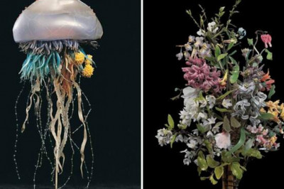 Стеклянные шедевры Леопольда и Рудольфа Блашки, которые служили научным пособием для школ и университетов