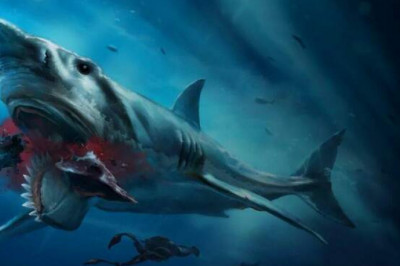 Циркулярная пила геликоприона: зачем древней акуле был нужен зубной диск на нижней челюсти