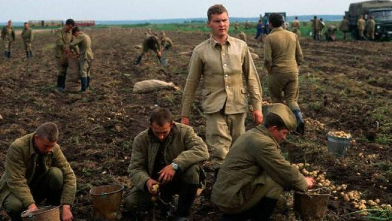 «Битвы за урожай» Советской армии