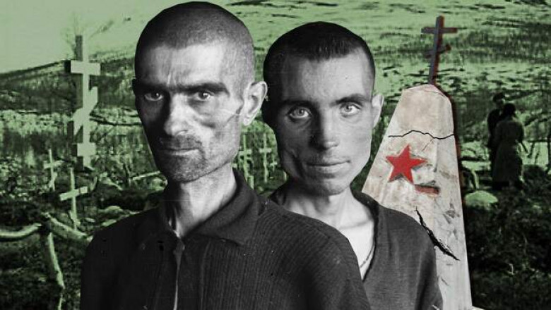 Операция «Асфальт»: почему норвежское правительство тайно выкопало останки тысяч советских солдат