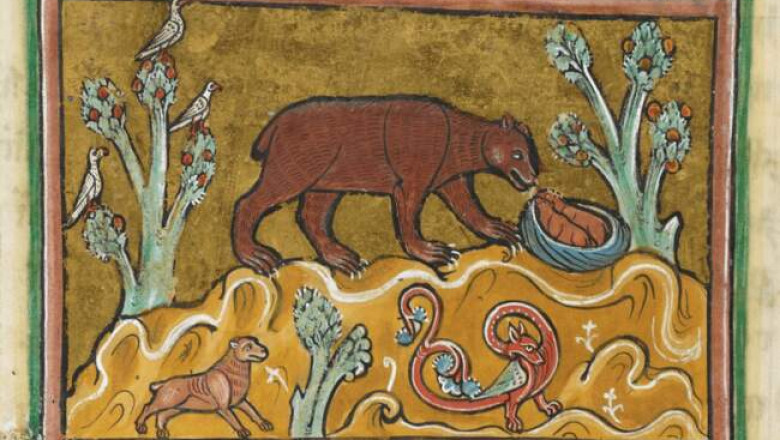 Медведь в средневековой символике