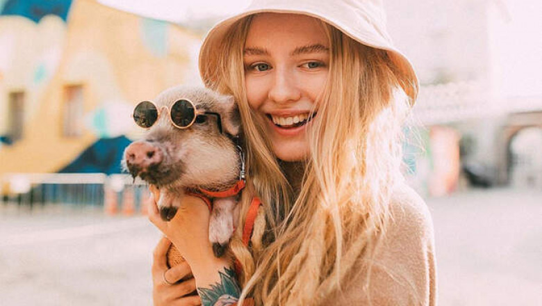 Как выглядят самые популярные животные в Instagram