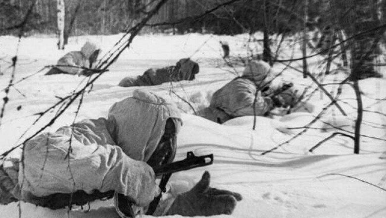 Сказка про репку на военный лад: как советские разведчики добывали языка у белорусского Городка
