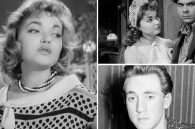 Наталья Панова: единственная роль в кино, след в судьбе Высоцкого и загадочное исчезновение первой красавицы 1960-х