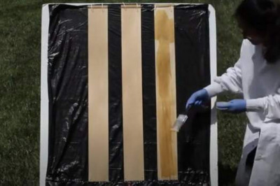 Ученые нашли новый способ делать древесину прозрачной