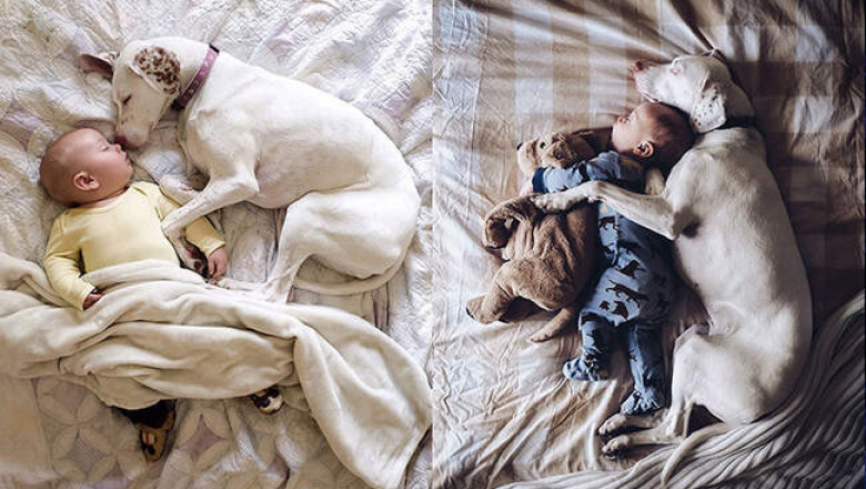 Собаки и дети: 18 милейших фотографий, которые доказывают, что ребенку просто необходим лающий друг
