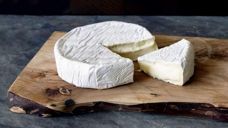 Продукты с плесенью: что можно и что нельзя есть