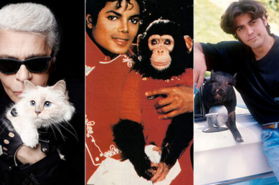 Зарубежные знаменитости, которые без ума от своих питомцев и готовы ради них на многое