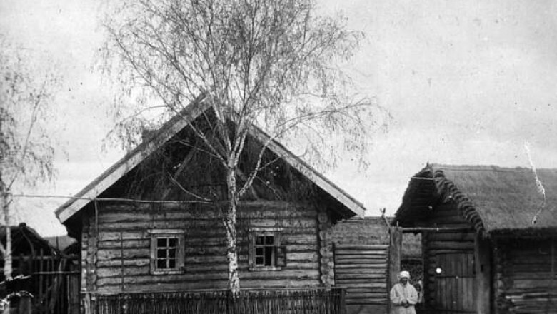 Почему раньше в палисаднике сажали деревья, а не цветы и кустарники