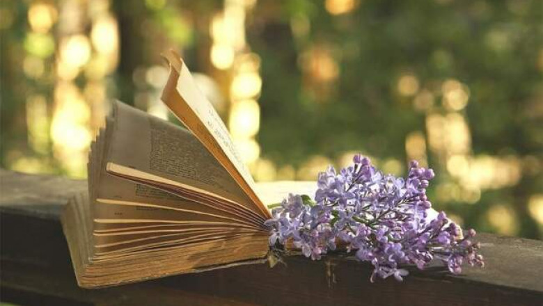 «У них что-то с головой, у этих русских» и еще 9 нетривиальных книг, которые можно прочесть за один вечер