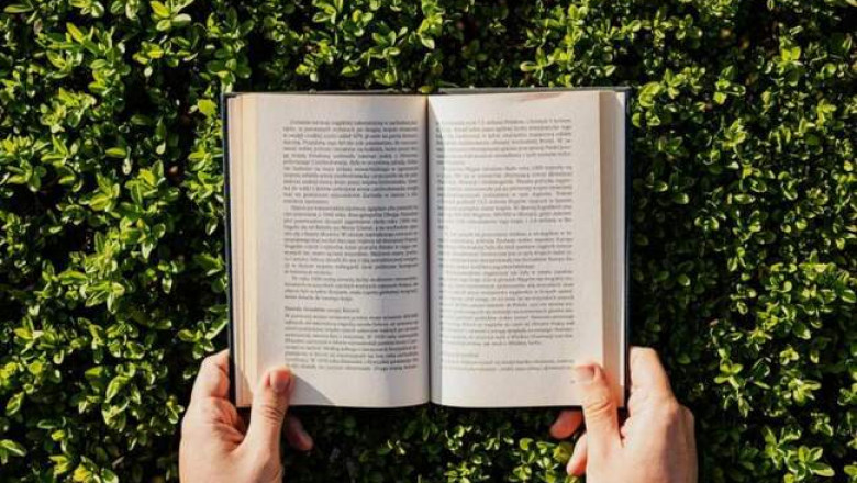 «Бельфлеры», «Бойня» и еще 8 книжных новинок лета