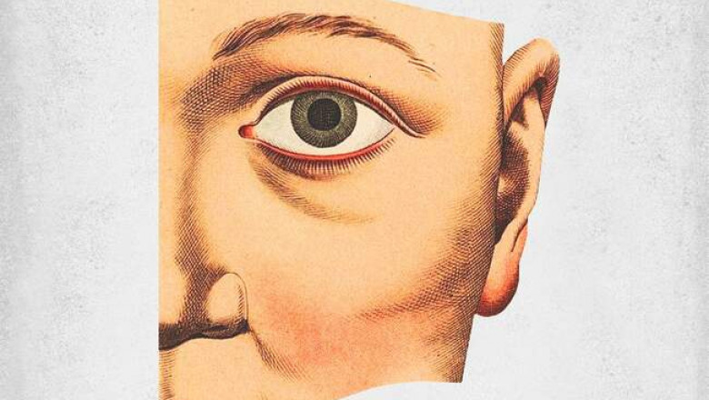 Твой фантастический мозг, Взламывая анатомию и еще 10 книг, которые доступно объясняют, как функционирует наше тело