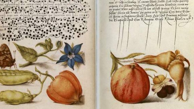 Mira calligraphiae monumenta: самая красивая рукописная книга