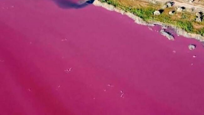 В Аргентине вода в лагуне Корфо стала ярко-розовой