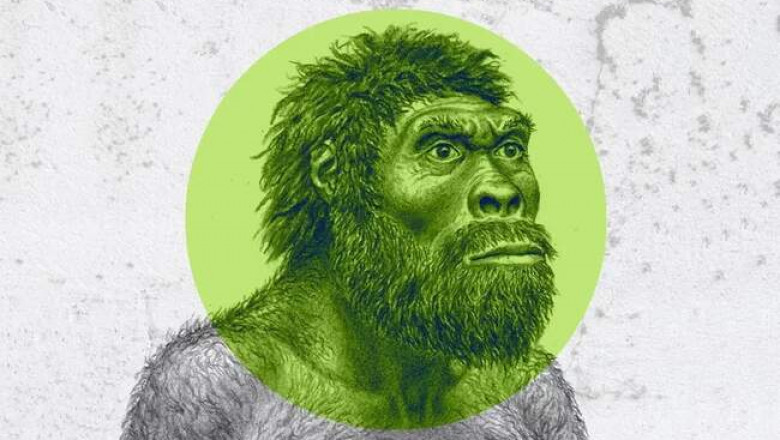 Искусство было присуще не только Homo sapiens: 7 важных археологических открытий, сделанных за последние десять лет