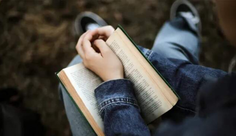 «Женское сердце», «Виндзорский узел» и др: 7 лучших книг осени