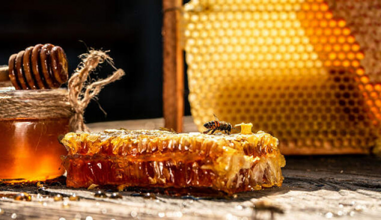 Мед с оленьими рогами и сиропы и морских гадов: 5 вкусных таежных сувениров с Дальнего Востока