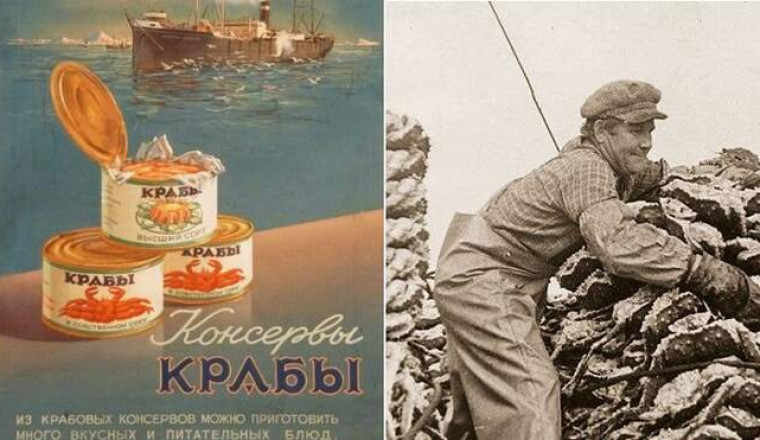 Как СССР и Япония из-за крабов ссорились и ели ли советские граждане камчатский деликатес