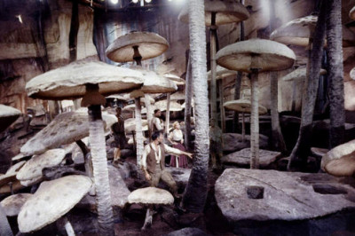 Пища богов: как грибы заняли уникальное место не только в биосфере планеты, но и в истории цивилизации