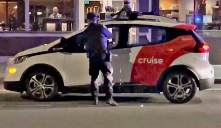 В США полицейские остановили авто и не поняли, кто им управляет