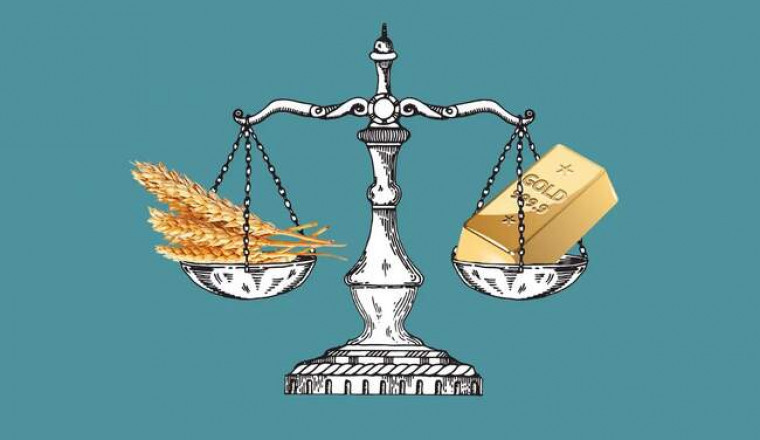 Какие продукты могут подорожать из-за меняющегося климата