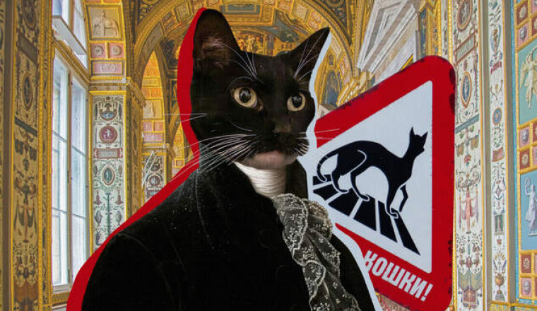 «Кошкин дом»: как коты стали символом Петербурга и Эрмитажа