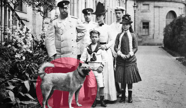 Животные голубых кровей: 7 любимых питомцев русских царей