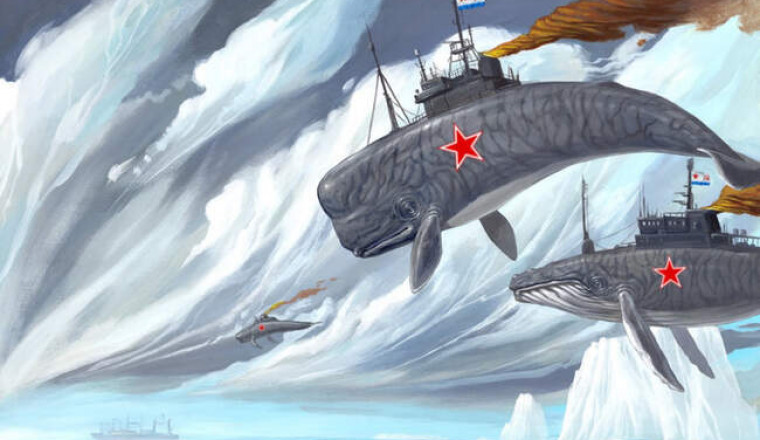 «Боевые дельфины» в СССР: как советские военные дрессировали водных млекопитающих