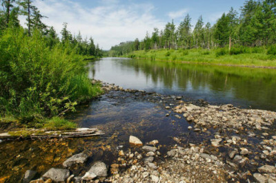 Тайна уровской долины: как загадочная болезнь унесла сотни жизней в Забайкалье