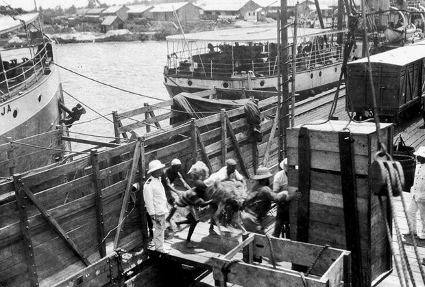 Ночные перегоны, бунт на корабле и слезы матросов