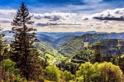 Баден-Баден, Гейдельберг, озеро Титизе и другие красивейшие места Черного леса (Шварцвальд) в Германии, которые стоит увидеть