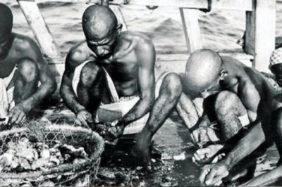 Как в Персидском заливе когда-то жемчуг добывали